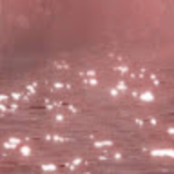 Meet your Posher, Genevieve - Picture 1 of 1